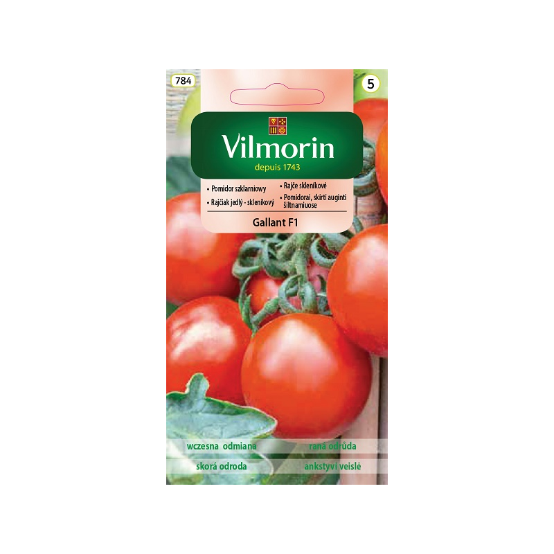 Pomidor szklarniowy Gallant f1 0,2g Vilmorin