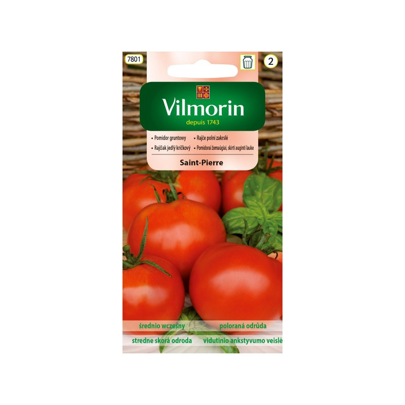 Pomidor gruntowy Saint Pierre 1g Vilmorin