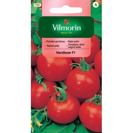 Pomidor gruntowy harzfeuer f1 0,3g Vilmorin