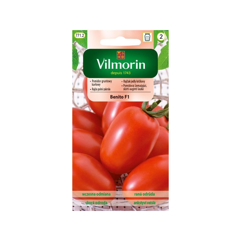 Pomidor gruntowy karłowy benito f1 10 szt. Vilmorin