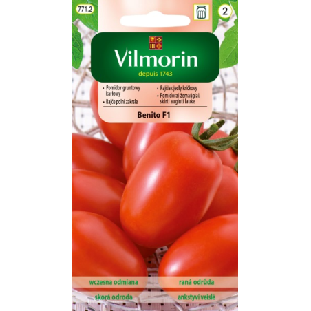 Pomidor gruntowy karłowy benito f1 10 szt. Vilmorin