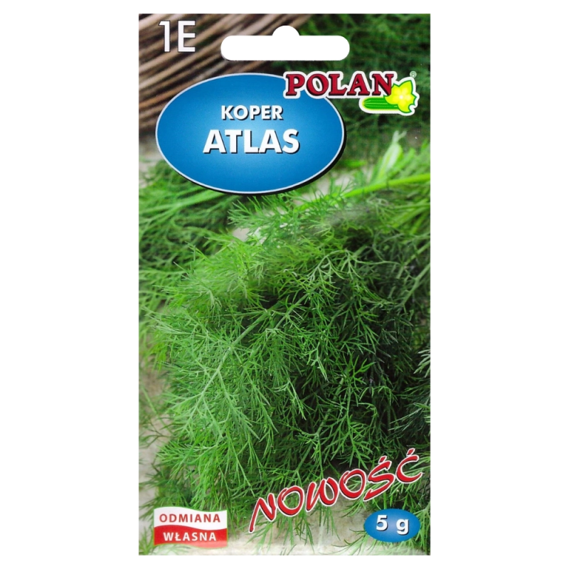 Koper Atlas 5g Polan