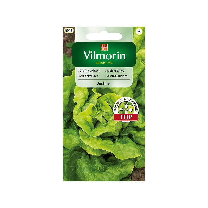 Sałata masłowa Justine 0,5g Vilmorin