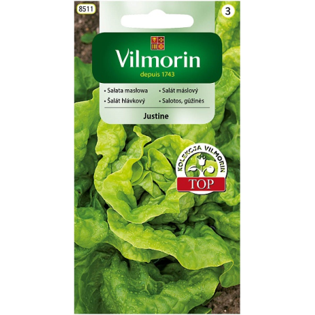 Sałata masłowa Justine 0,5g Vilmorin