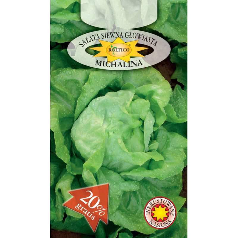 Sałata masłowa Michalina 1g Roltico