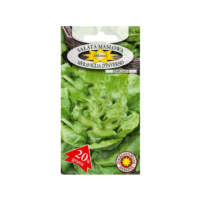 Sałata masłowa Meraviglia D’Inverno 1g Roltico