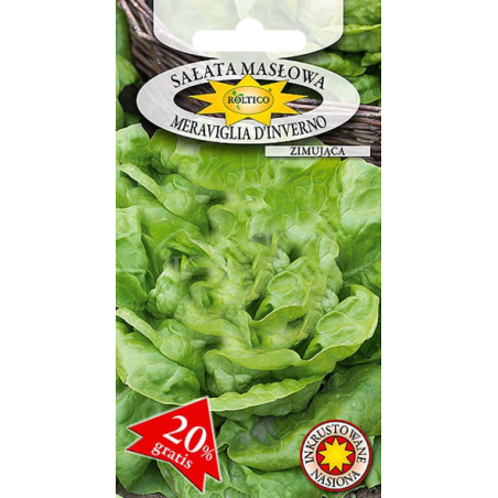Sałata masłowa Meraviglia D’Inverno 1g Roltico