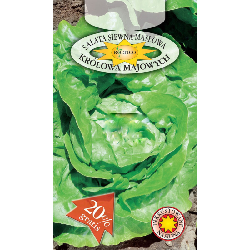 Sałata masłowa Królowa Majowych 1g Roltico