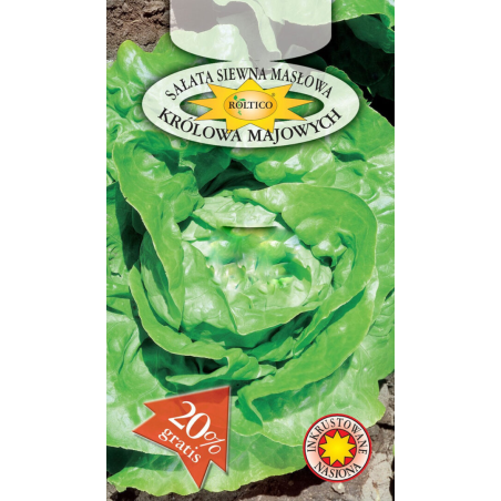 Sałata masłowa Królowa Majowych 1g Roltico