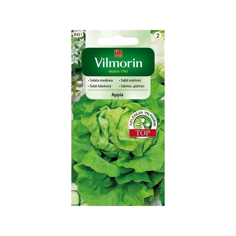 Sałata masłowa Appia 0,5g Vilmorin