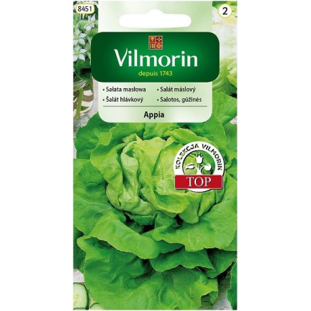 Sałata masłowa Appia 0,5g Vilmorin