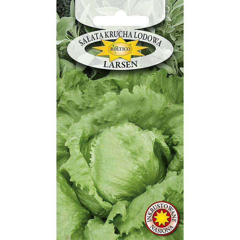 Sałata Krucha Lodowa Larsen 1g Roltico