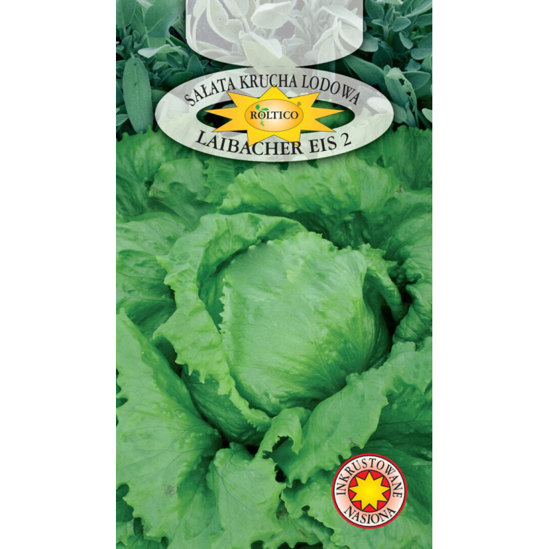 Sałata Krucha Lodowa Laibacher Eis 2 1g Roltico