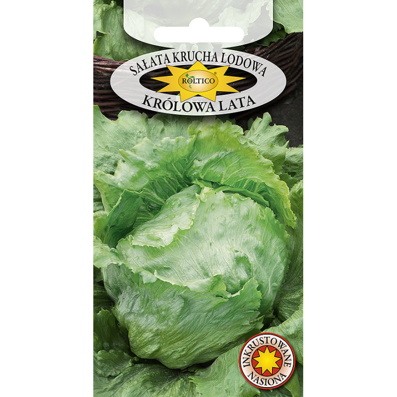 Sałata Krucha Lodowa Królowa Lata 1g Roltico