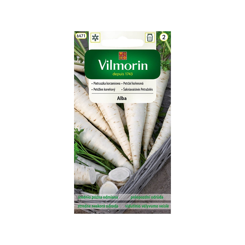 Pietruszka korzeniowa Alba 3g Vilmorin