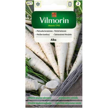 Pietruszka korzeniowa Alba 3g Vilmorin