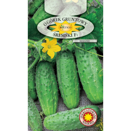 Ogórek gruntowy Śremski F1 6,5g Roltico