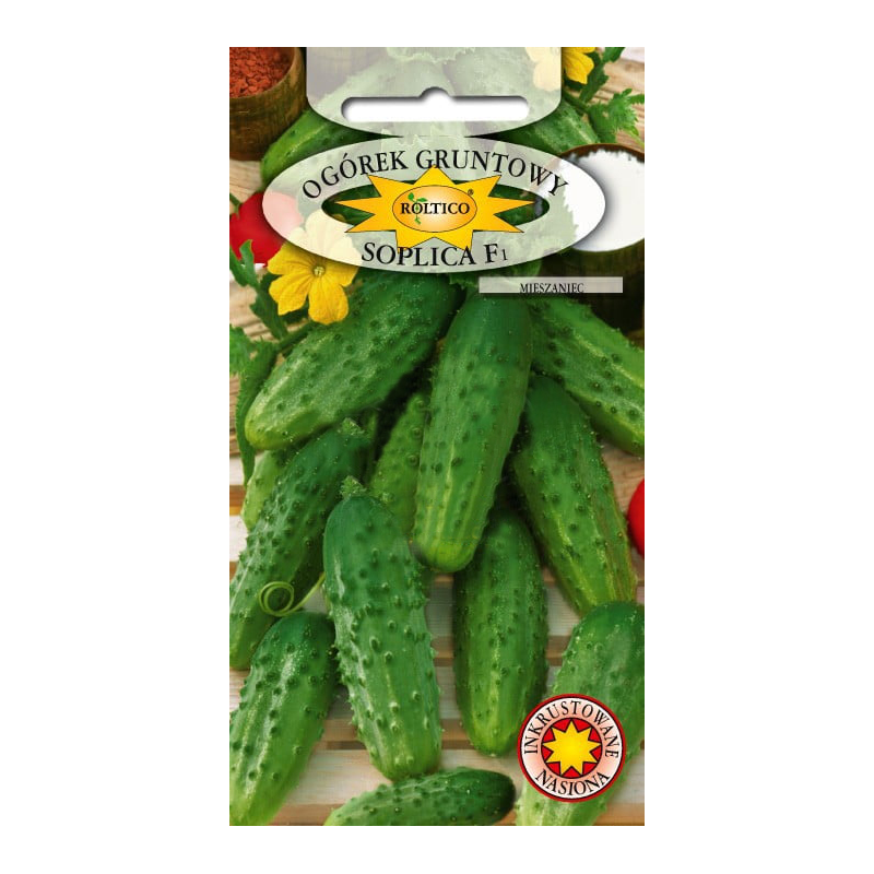 Ogórek gruntowy Soplica F1 5g Roltico