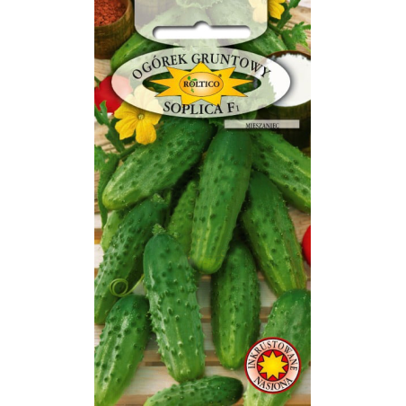 Ogórek gruntowy Soplica F1 5g Roltico