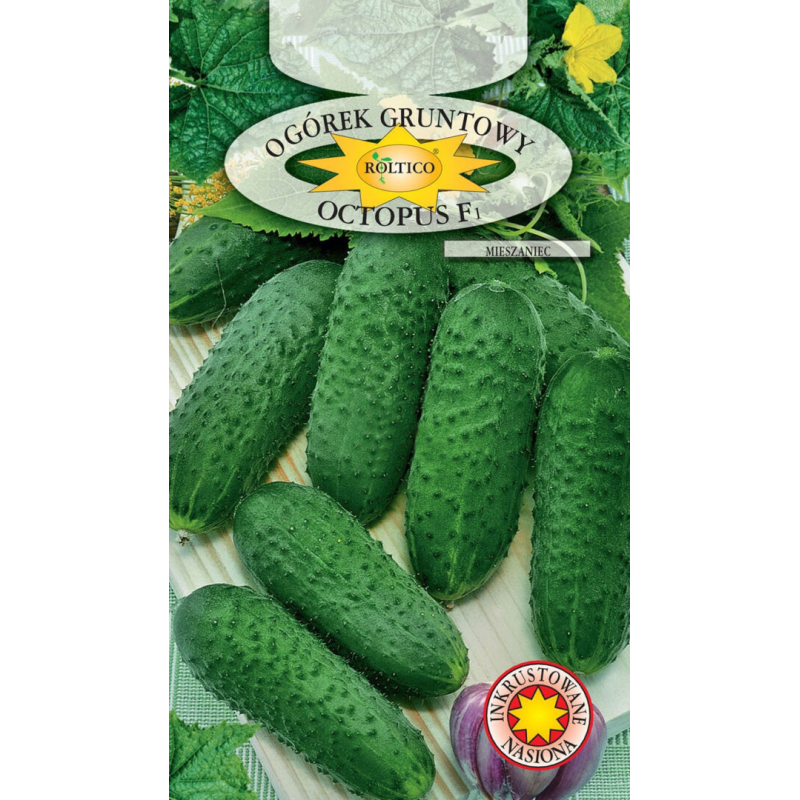 Ogórek gruntowy Octopus F1 1g Roltico