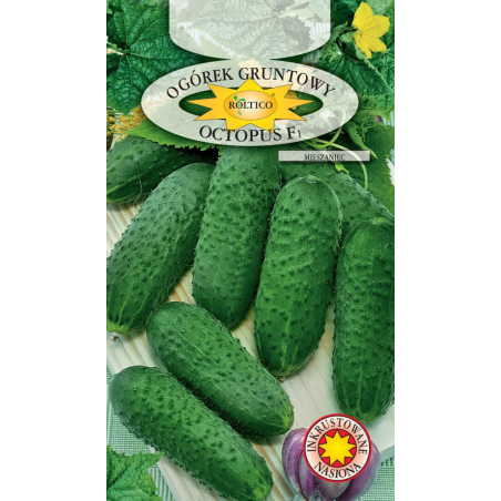 Ogórek gruntowy Octopus F1 1g Roltico