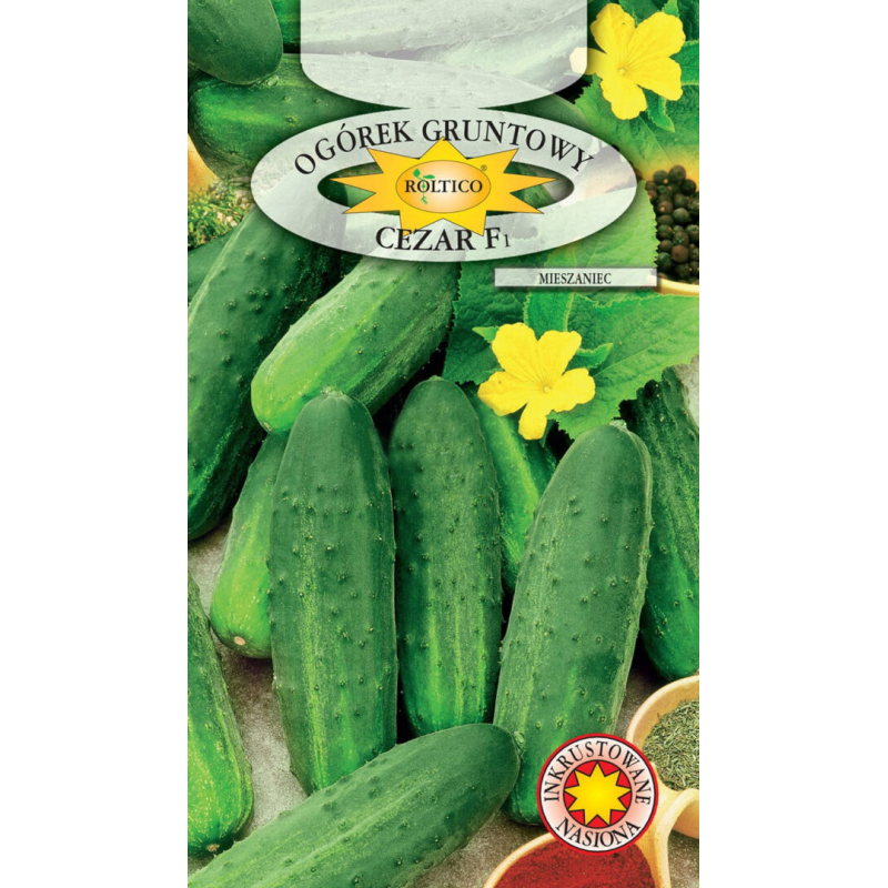 Ogórek gruntowy Cezar F1 5g Roltico