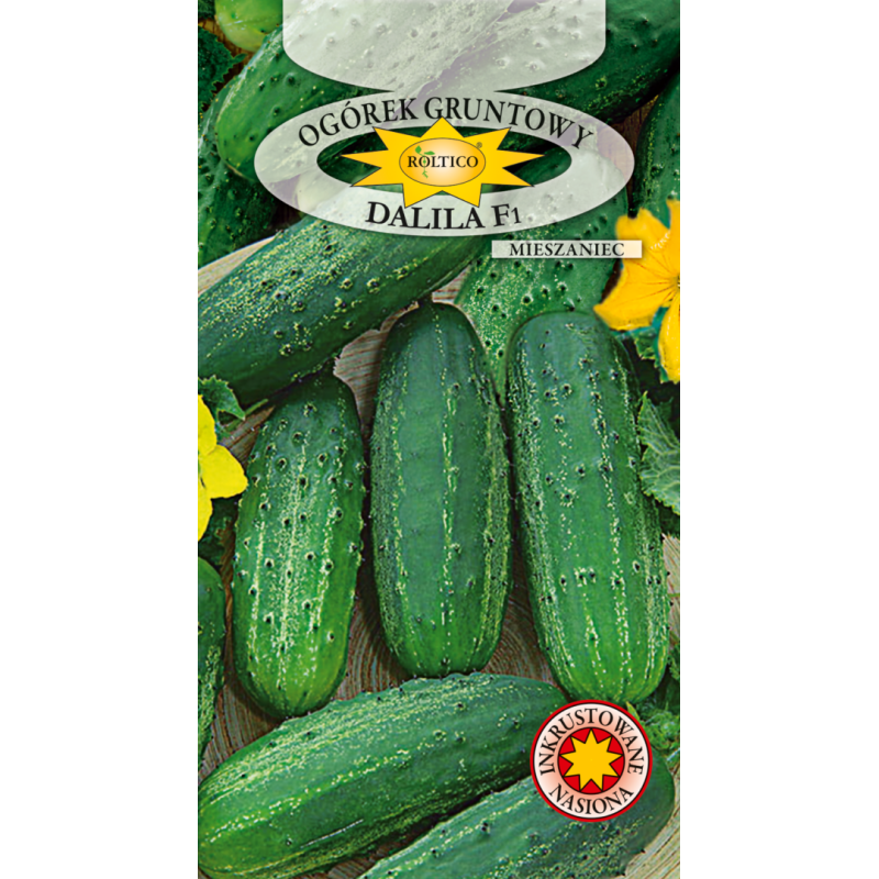Ogórek gruntowy Dalila F1 5g Roltico