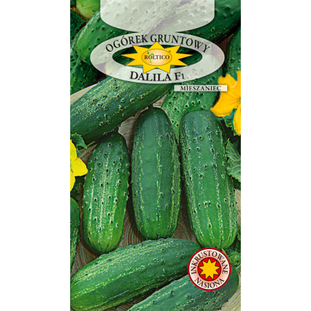 Ogórek gruntowy Dalila F1 5g Roltico
