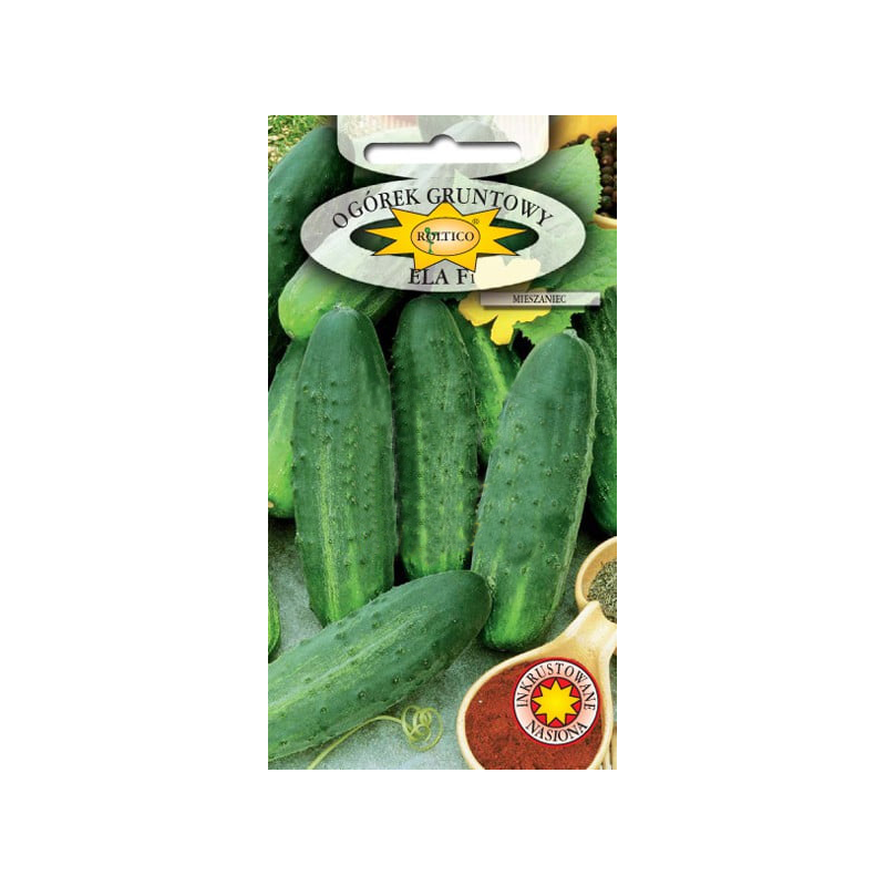 Ogórek gruntowy Ela F1 5g Roltico
