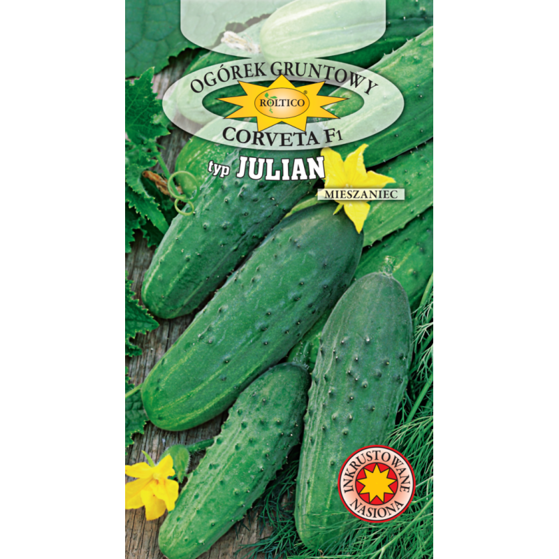 Ogórek gruntowy Corveta F1 3g Roltico