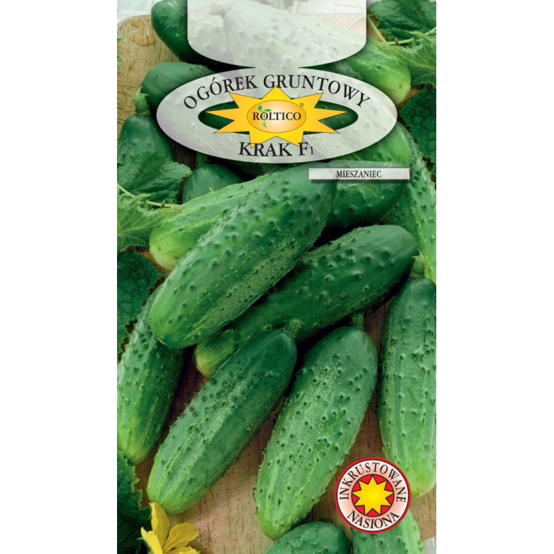 Ogórek gruntowy Krak F1 5g Roltico
