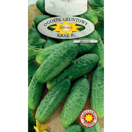 Ogórek gruntowy Krak F1 5g Roltico