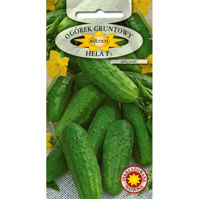 Ogórek gruntowy Hela F1 5g Roltico