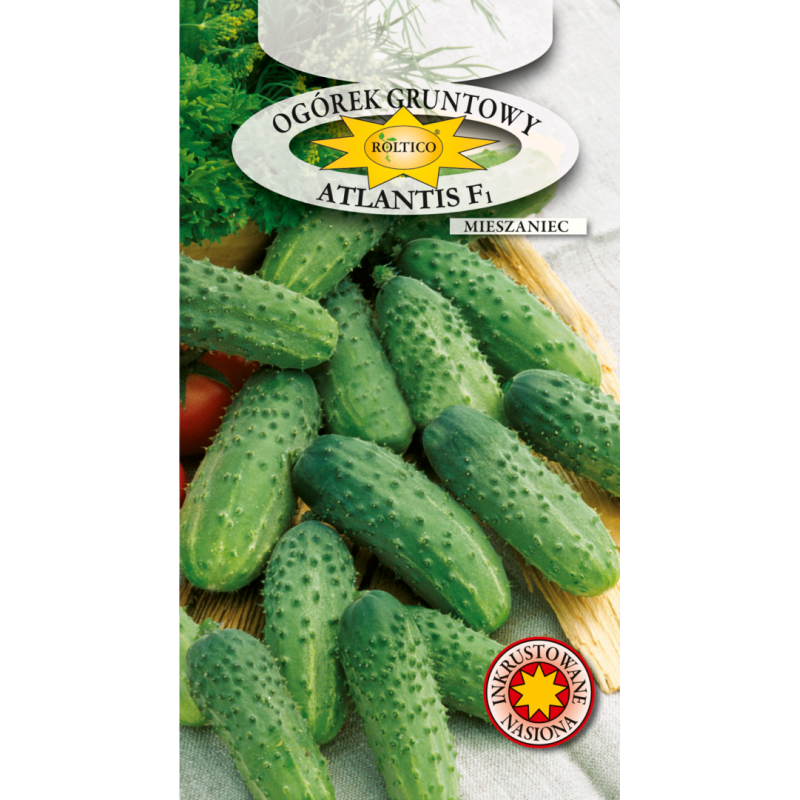 Ogórek gruntowy Atlantis F1 1,5g Roltico