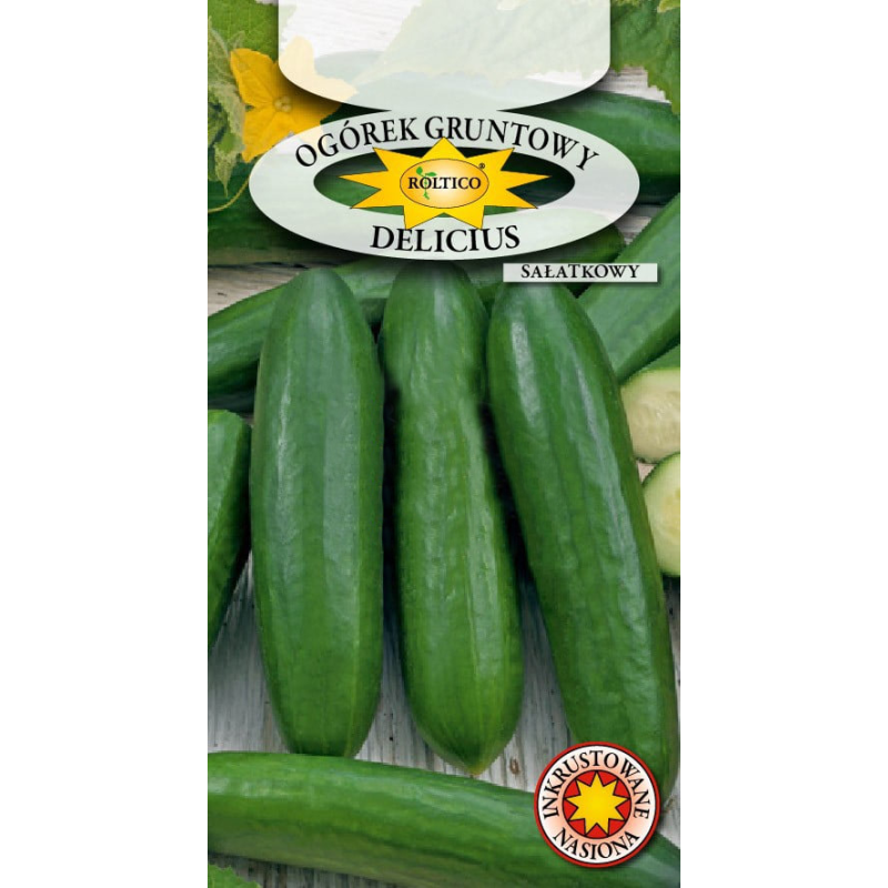 Ogórek gruntowy Delicius 5g Roltico