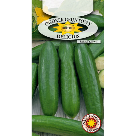 Ogórek gruntowy Delicius 5g Roltico