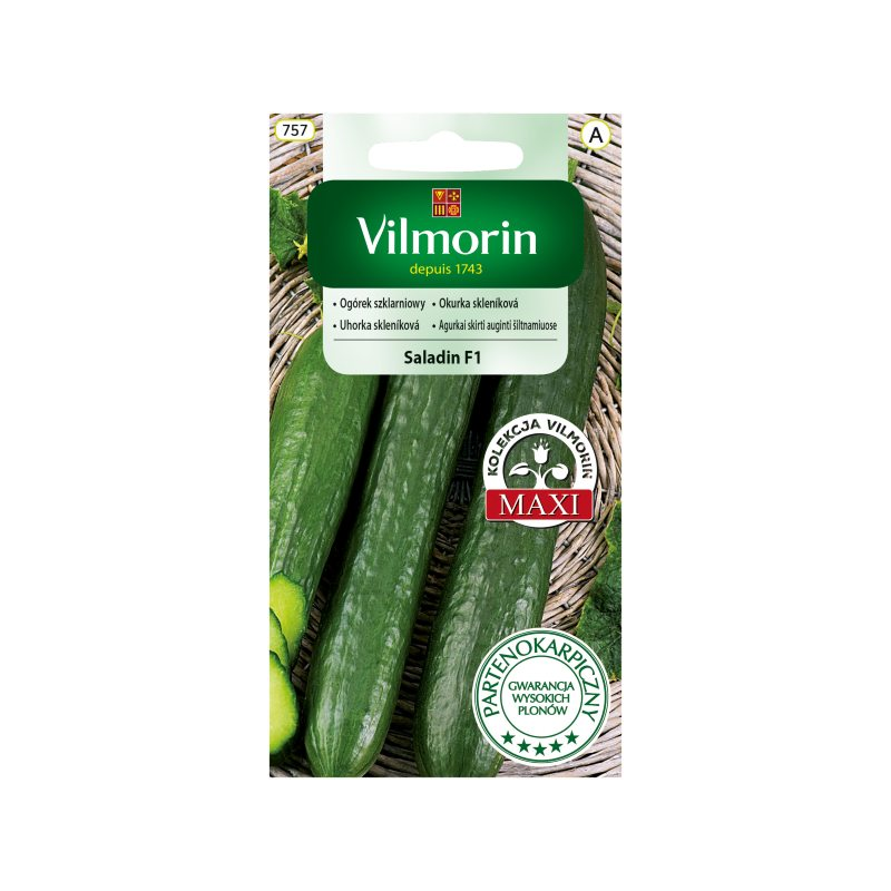 Ogórek szklarniowy Saladin F1 0,8g Vilmorin