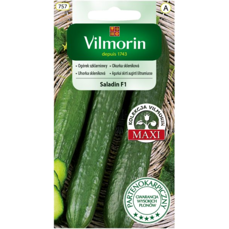 Ogórek szklarniowy Saladin F1 0,8g Vilmorin