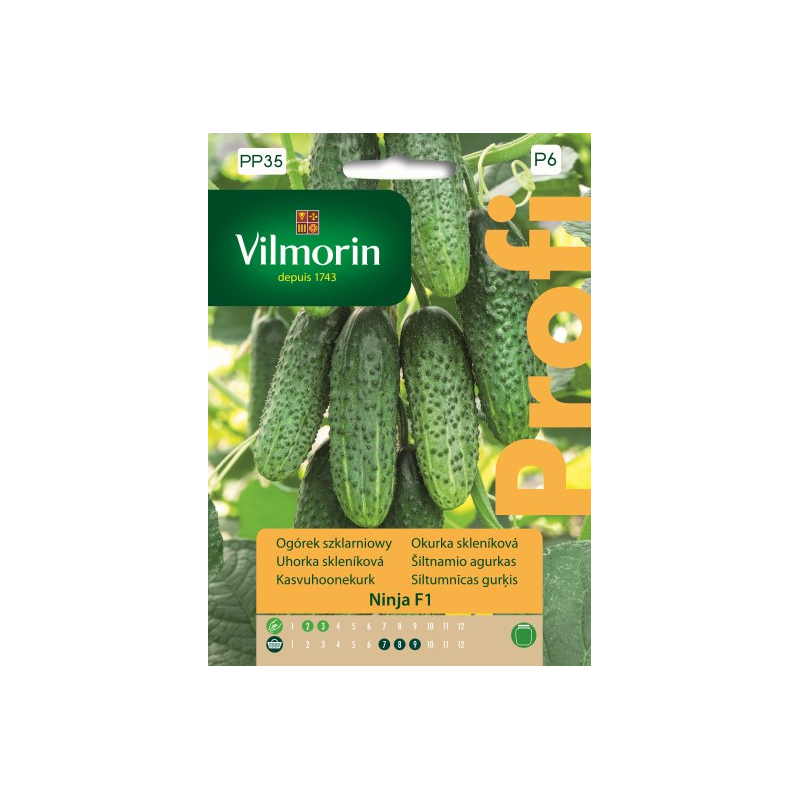 Ogórek szklarniowy Ninja F1 12 nasion Vilmorin