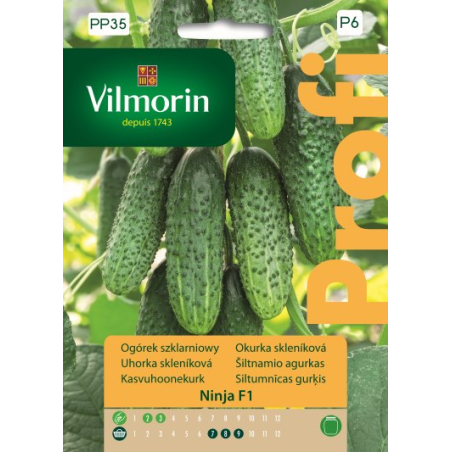Ogórek szklarniowy Ninja F1 12 nasion Vilmorin