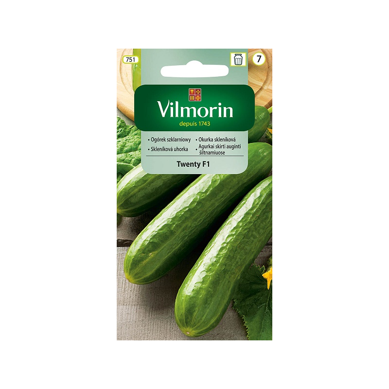 Ogórek szklarniowy Twenty F1 15 nasion Vilmorin