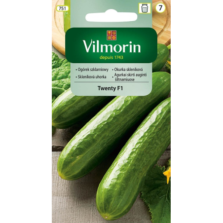 Ogórek szklarniowy Twenty F1 15 nasion Vilmorin