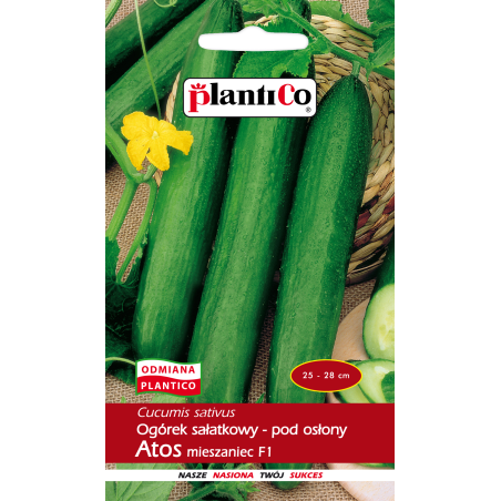 Ogórek sałatkowy Atos F1 1g PlantiCo