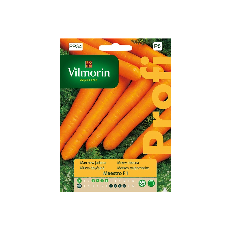 Marchew jadalna Maestro F12g Vilmorin