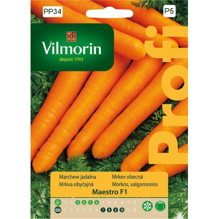 Marchew jadalna Maestro F12g Vilmorin