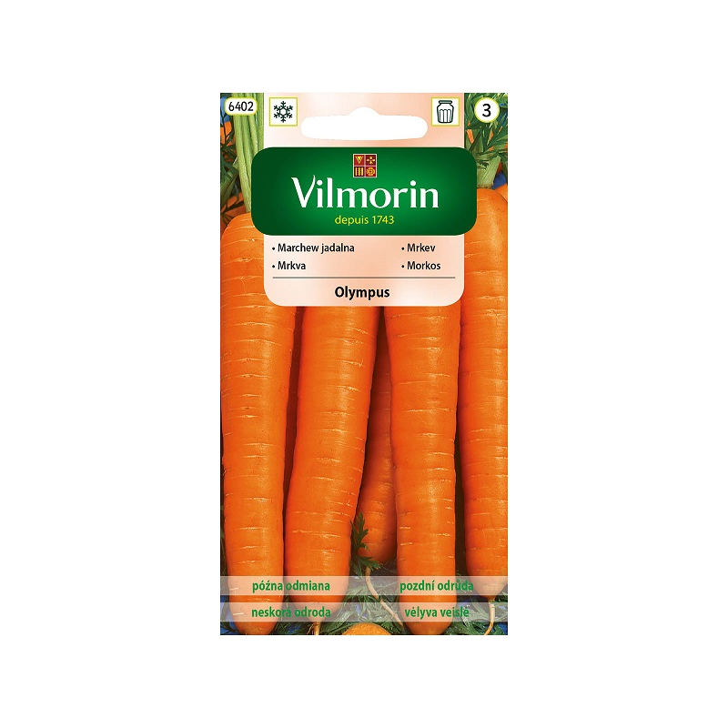 Marchew jadalna Olympus 5g Vilmorin