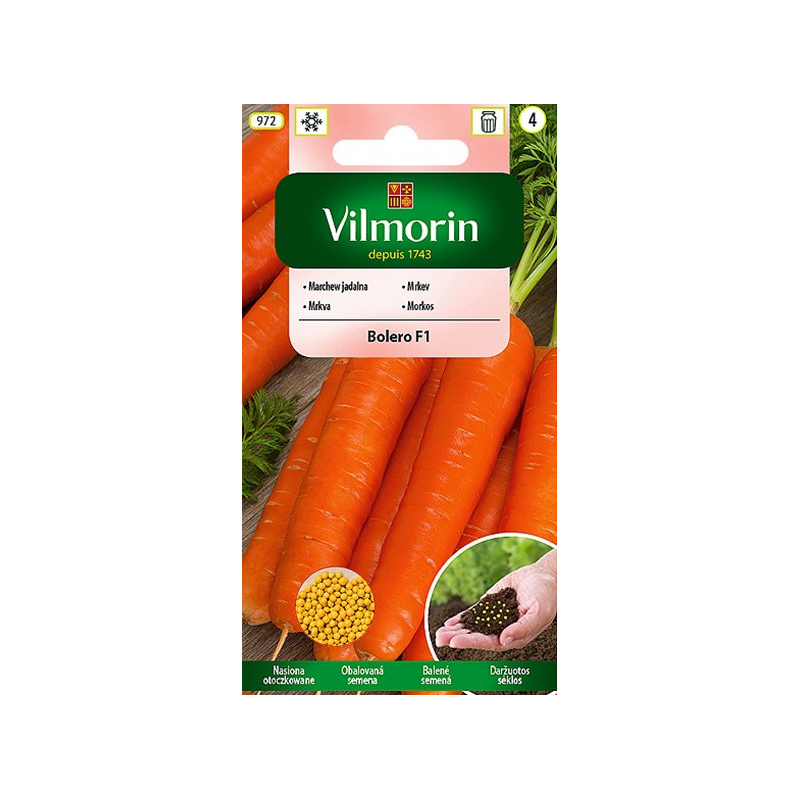 Marchew otoczkowana Bolero F1 400 nasion Vilmorin