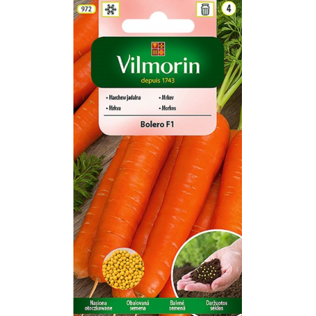 Marchew otoczkowana Bolero F1 400 nasion Vilmorin