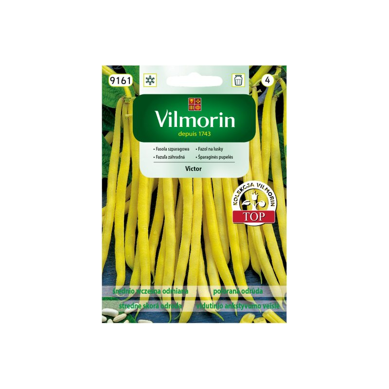 Fasola zwykła karłowa Victor 20g Vilmorin