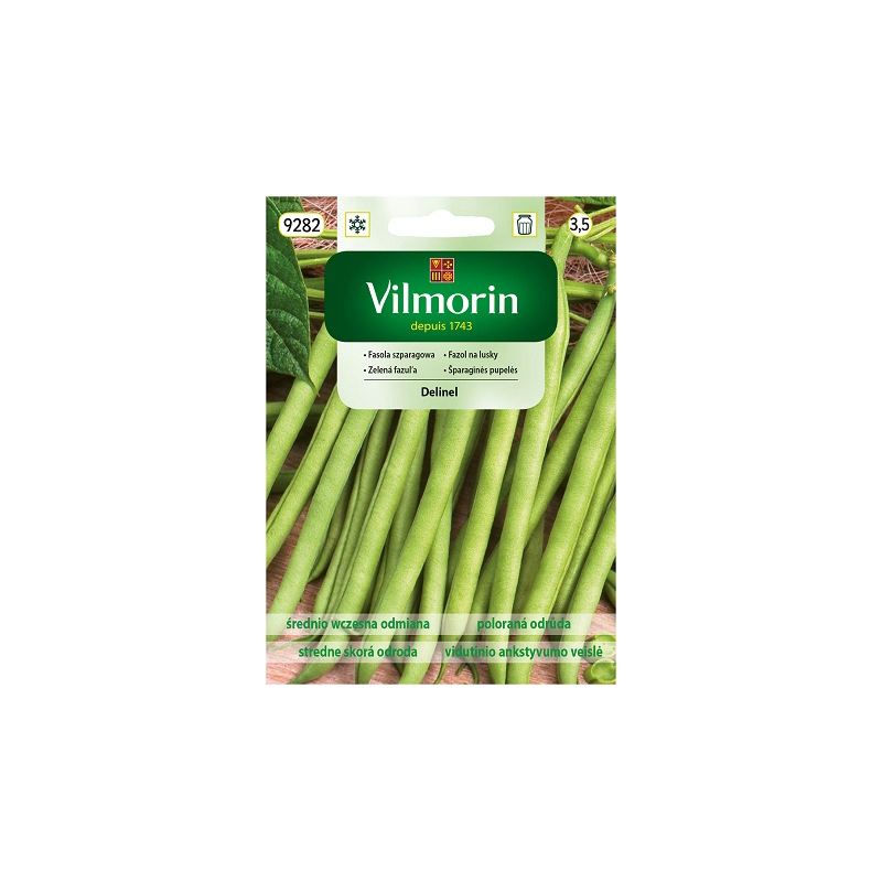 Fasola zwykła karłowa Delinel 30g Vilmorin